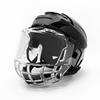 CE Certified Polycarbonate Anti-Fog Full Face Hockey Cage