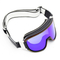 Shiny Painted Frame with Double Lens Design Ski Goggles