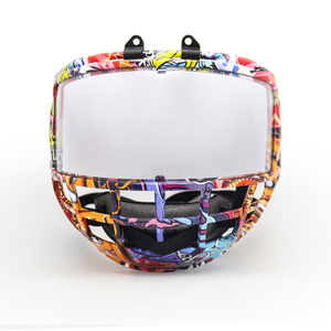 Junior Graphic Frame Polycarbonate Anti-Fog Ice Hockey Cage