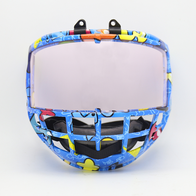 Junior Graphic Frame Polycarbonate Anti-Fog Ice Hockey Cage